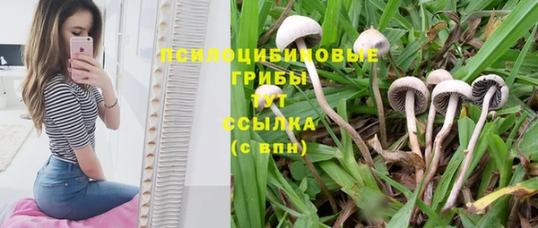 дистиллят марихуана Баксан